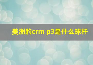 美洲豹crm p3是什么球杆